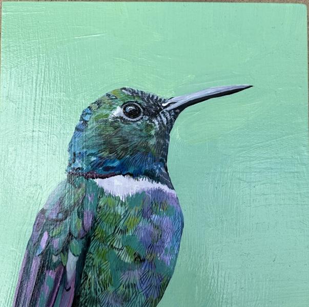 painting of a hummingbird