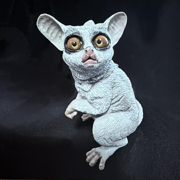 Image of white creature