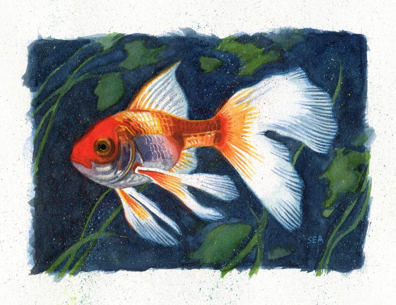 Into the Blue by Scott Anderson Colorful illustration of an orange-and-white goldfish swimming among green aquatic plants against a deep blue underwater background, with flowing translucent fins and detailed scales.